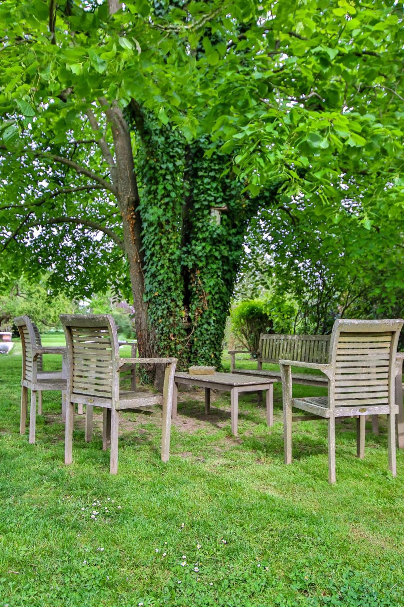 Domaine D'Aromm - Chambres D'Hotes & Gites - Piscine, Etangs & Animaux - Au Calme Ouches Exteriér fotografie