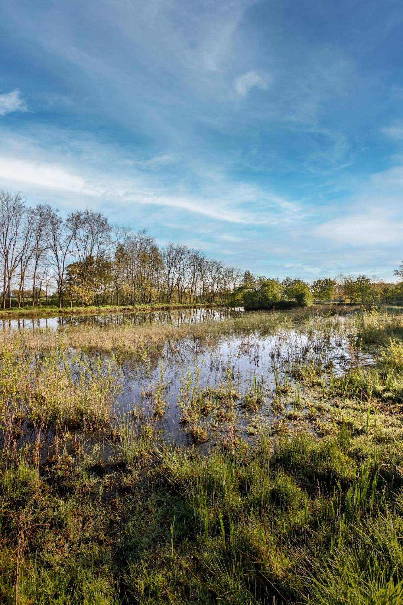 Domaine D'Aromm - Chambres D'Hotes & Gites - Piscine, Etangs & Animaux - Au Calme Ouches Exteriér fotografie