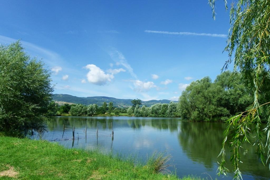 Domaine D'Aromm - Chambres D'Hotes & Gites - Piscine, Etangs & Animaux - Au Calme Ouches Exteriér fotografie