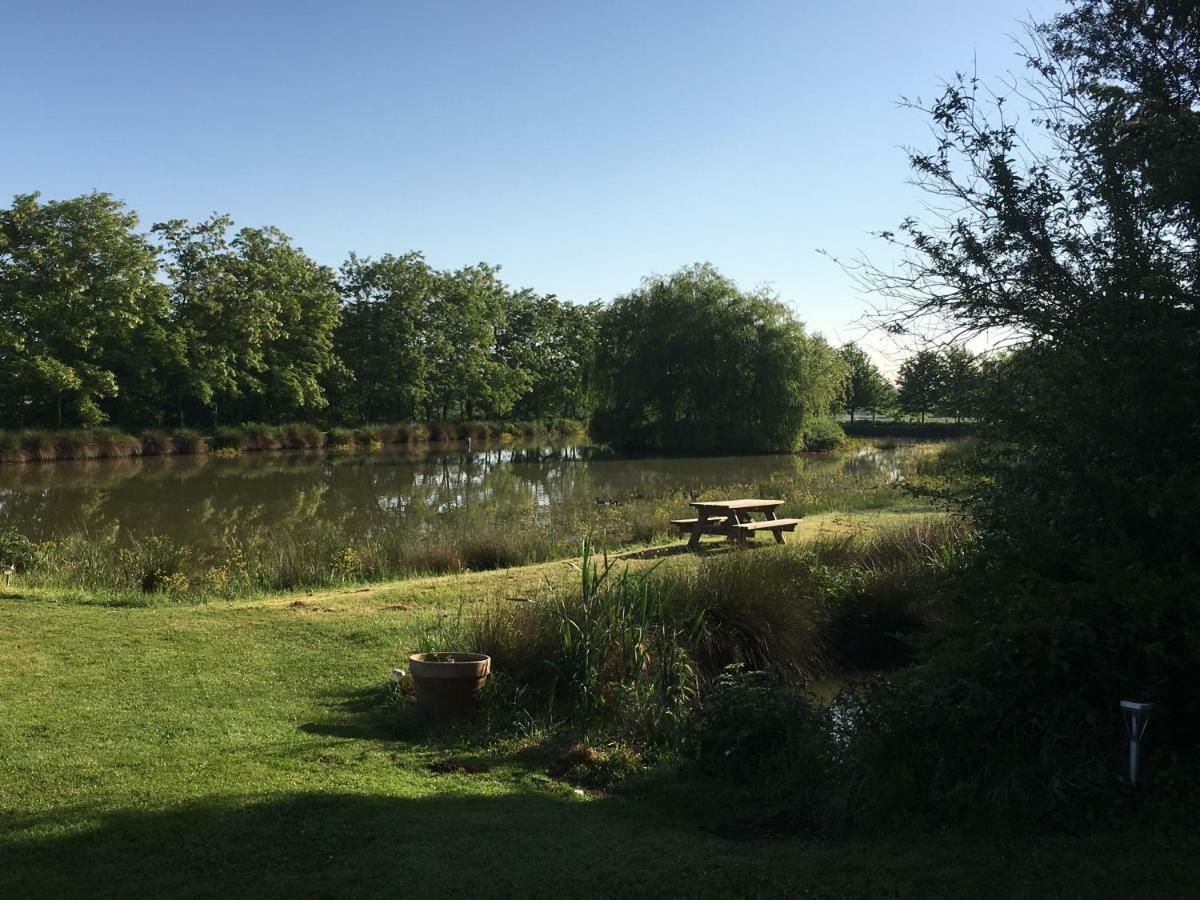 Domaine D'Aromm - Chambres D'Hotes & Gites - Piscine, Etangs & Animaux - Au Calme Ouches Exteriér fotografie